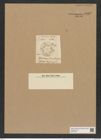 Asterolampra decoata Gr. et. St. (de-Toni-Nr.: Genus 235, Species 5673) Zeichnungen Sammlung Grunow Nr. 9662 (NHMW-BOT-W0379594)